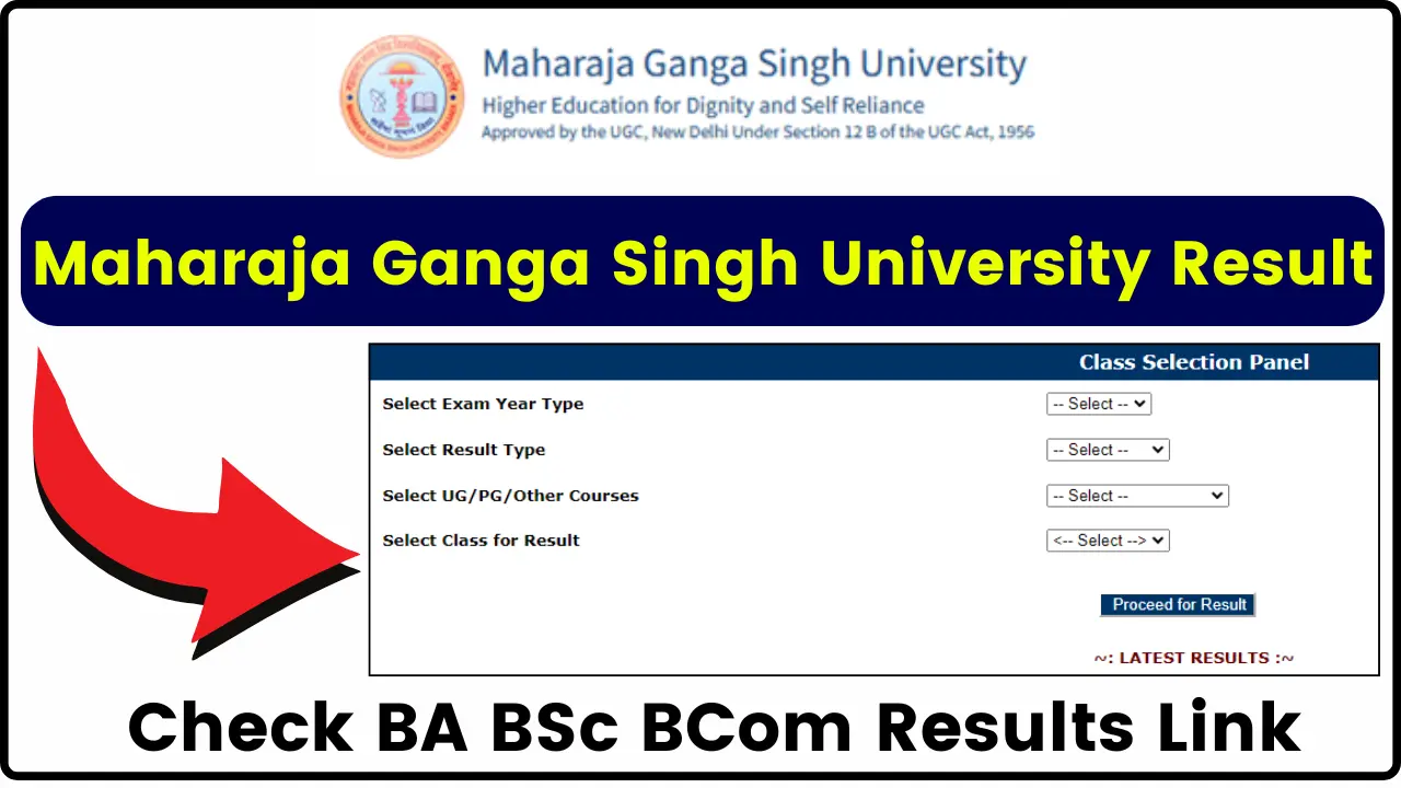 MGSU Result 2024 [Declared] at Check BA BSc