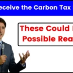 Didn't Receive the Carbon Tax Rebate? These Could Be the Possible Reasons!